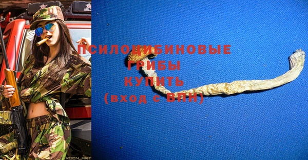 спайс Елизово
