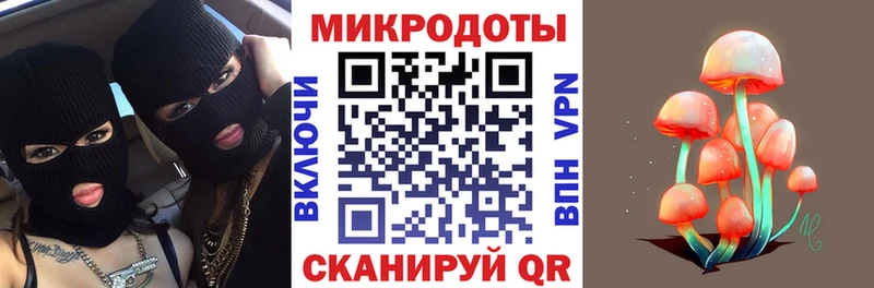 Купить закладки  Зуевка  Галлюциногенные грибы Psilocybine cubensis 